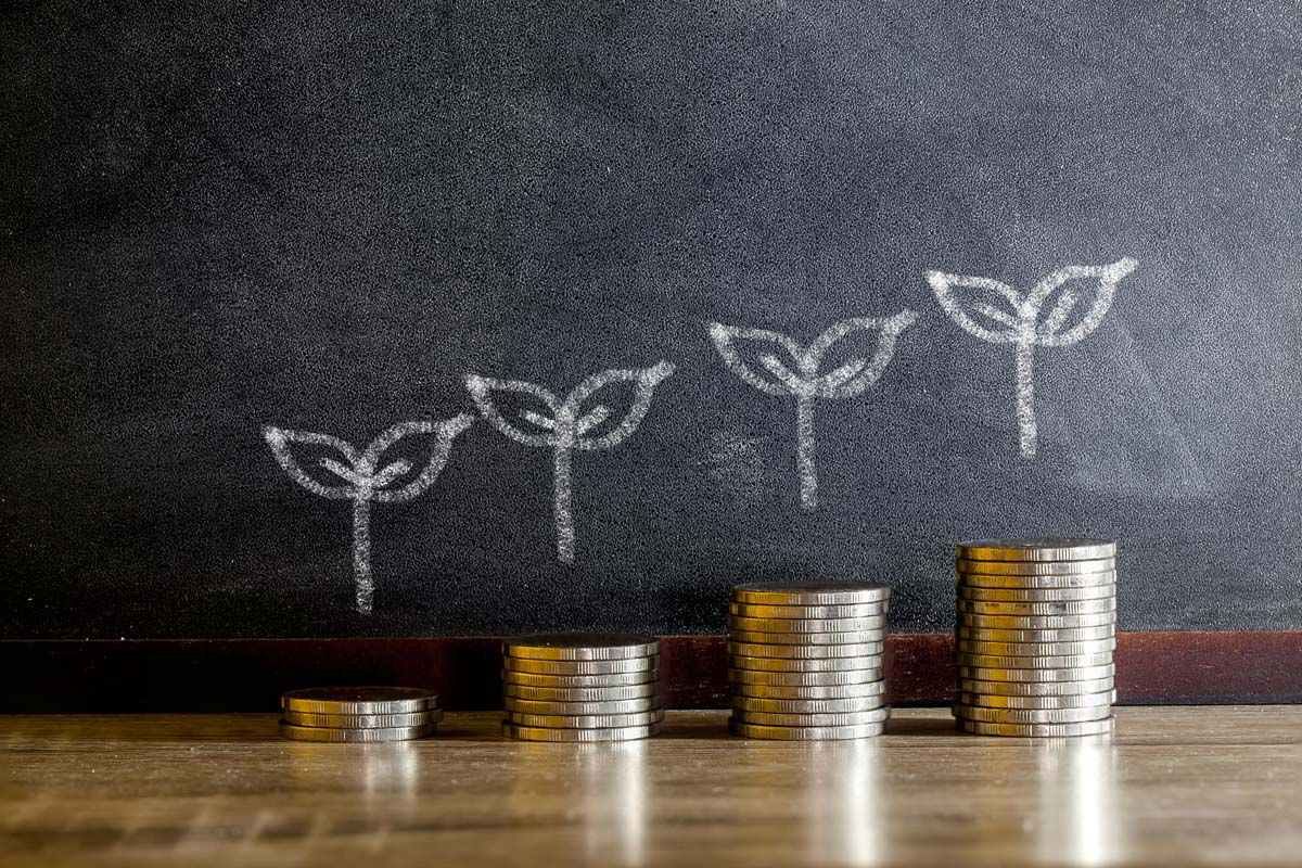 Growth Guarantee Scheme